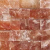 Соляная стена Элит, скрытый монтаж, натуральный кирпич 5 см, 1 м², подсветка