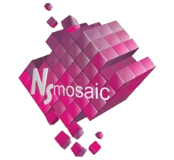 NSmosaic