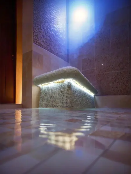 Светодиодная лента для хамама WML-60-RGB, IP67, 5м, блок управления и пульт