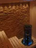 Электрическая печь Helo Rocher 105 Pure 2.0, с выносным пультом в комплекте в интернет-магазине WellMart24.com