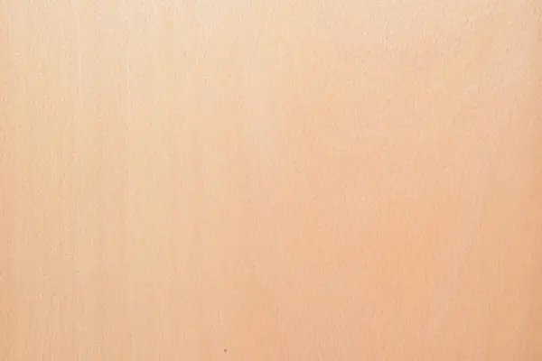 Стеновые панели Termomuros из шпона Бука, 1м²