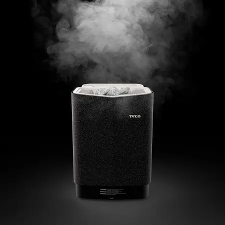 Электрическая печь Tylo Sense Combi Elite 6 с парогенератором и пультом в комплекте, 61001350 в интернет-магазине WellMart24.com