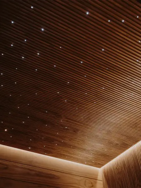Оптоволоконное звездное небо для сауны Cariitti Starry Sky-100, 1815002