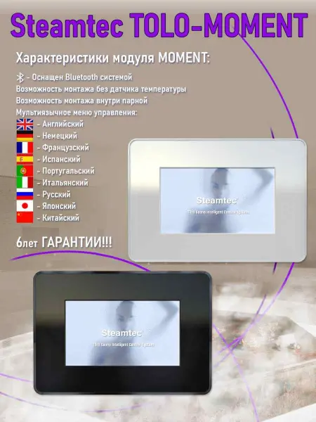 Парогенератор Steamtec MOMENT-120 12,0кВт с пультом управления