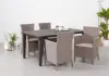 Кресло пластиковое Allibert Iowa, cappuccino