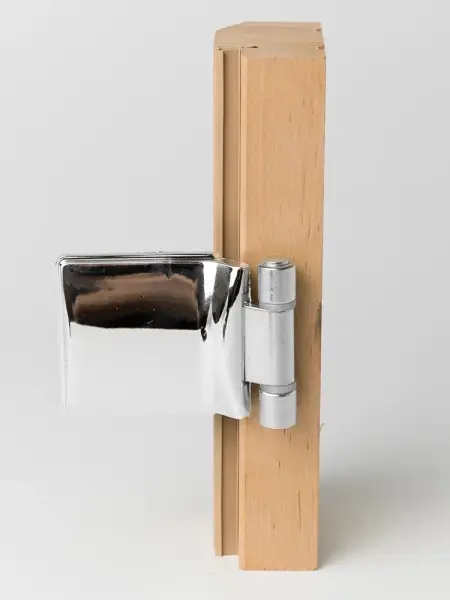 Стеклянная дверь для бани DoorWood, 700 х 1900 мм, без порога, сатин, коробка ольха