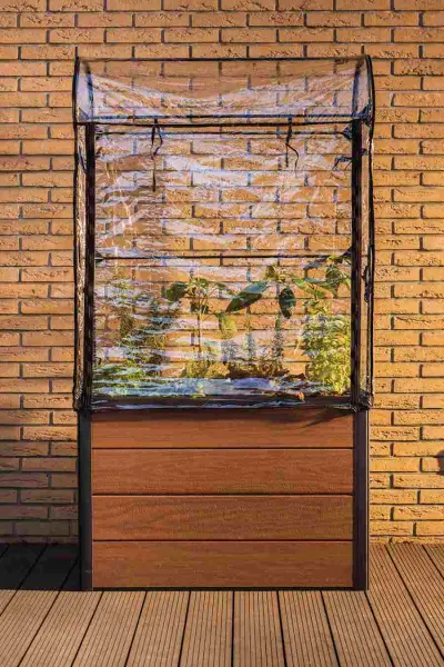 Грядка-теплица для растений Keter Maple Green House, grey