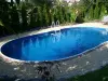 Морозоустойчивый бассейн Azuro овальный 730х370x120см, чаша 0,325мм, 405DL Premium 