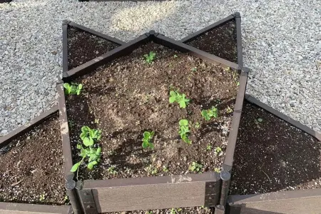 Доска Holzhof для грядок, клумб, цветочниц 2950х150х25мм, коричневый.