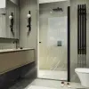 Душевая дверь в нишу на длинной петле, черный профиль, стекло прозрачное.