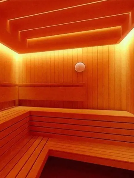 Комплект потолочного освещения в сауне Premier MINI RGBWx2, 10м. +180С